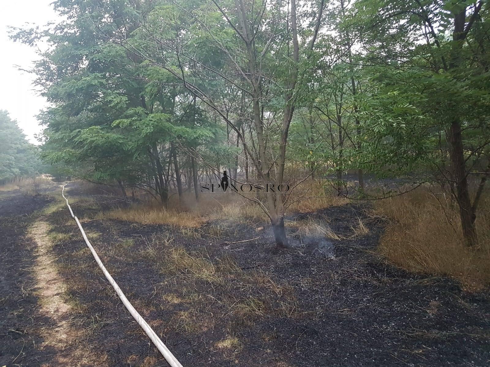 Incendiu Incendiu de vegetație uscată în zona Prodana