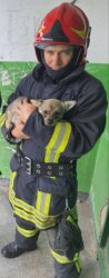 Cățeluș salvat la timp de pompierii bârlădeni Cățeluș salvat la timp de pompierii bârlădeni ( Foto)