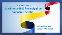 1 Decembrie mesaj senator PNL Mesajul senatorului PNL, Iulian Mihail Bîca, cu ocazia zilei de 1 decembrie