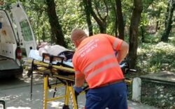 Un bărbat de 46 de ani a fost agresat de un tigru la Grădina Zoologică din Bârlad Un bărbat de 46 de ani a fost agresat de un tigru la Grădina Zoologică din Bârlad